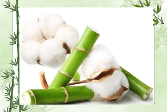 Bamboo Vs Cotton
