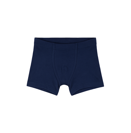 Midnight Blue Trunk