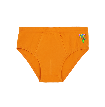 Orange Outburst Brief