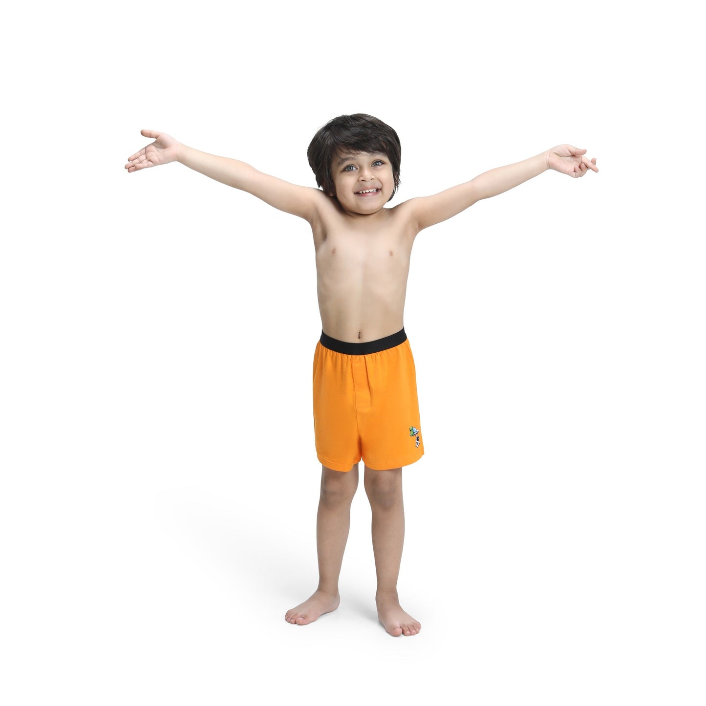 Orange Outburst Boxer