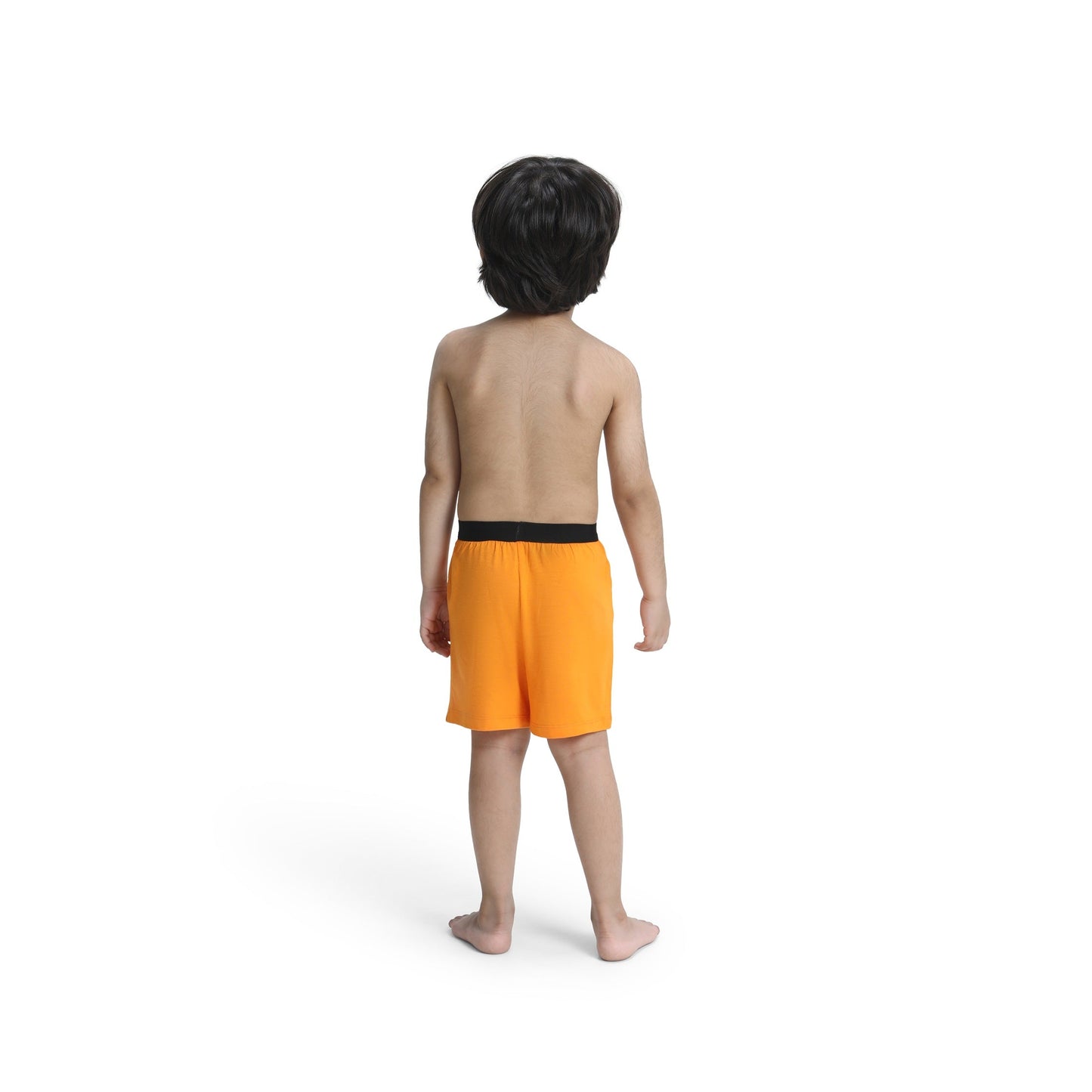 Orange Outburst Boxer