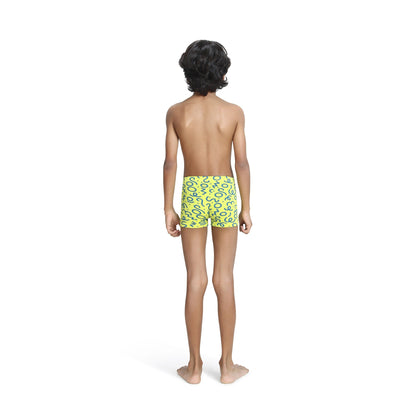 Lime Doodle Trunk
