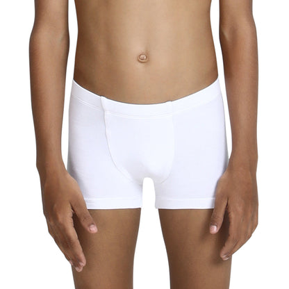 Winter White Trunk
