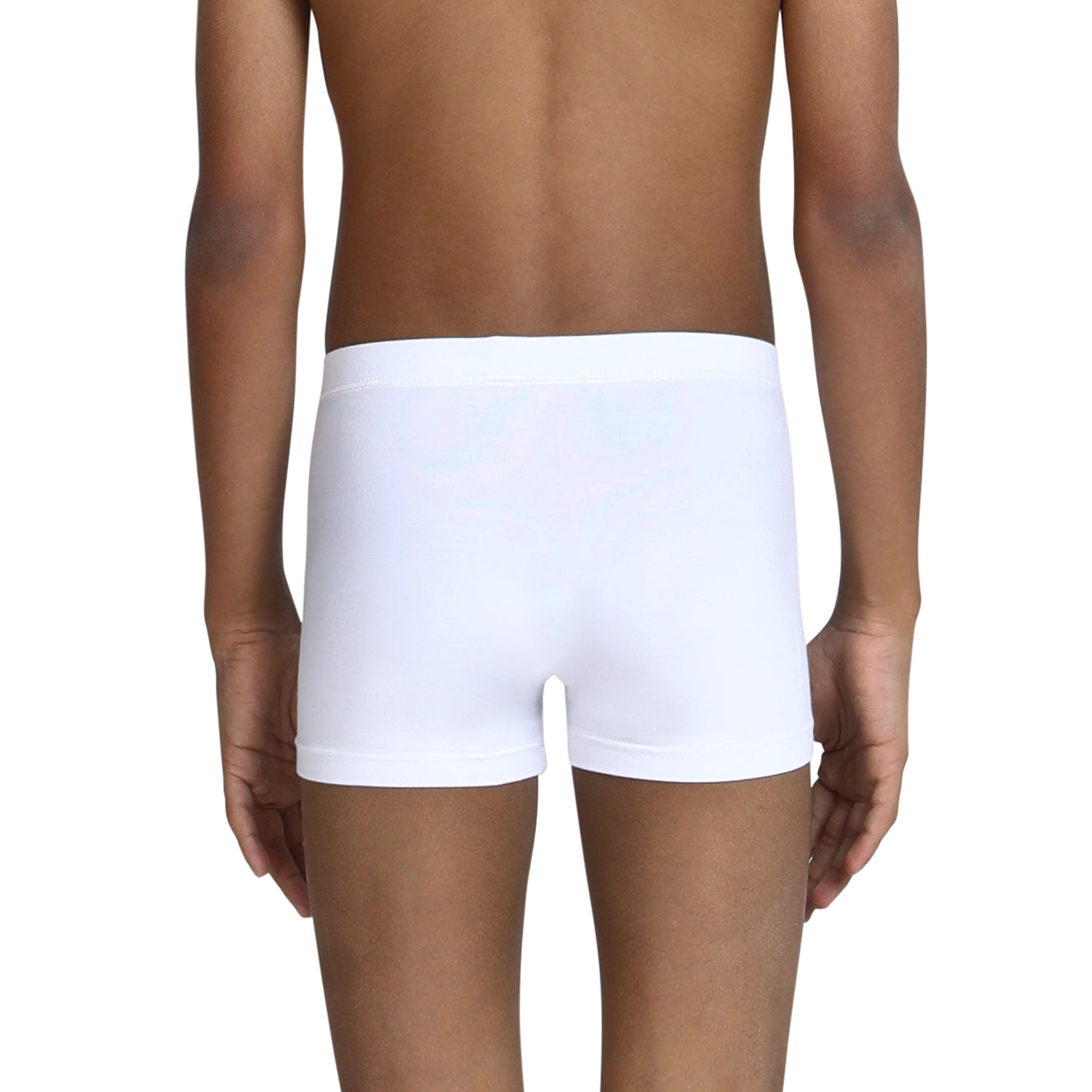 Winter White Trunk