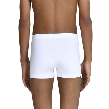 Winter White Trunk